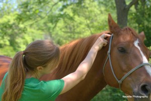 Photo of certified equine horse massage therapist Nell
